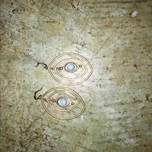 Earrings from fossil